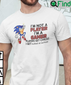 Im Not Player Im Gamer T Shirt Players Get Chicks I Get Bullied At School Sonic The Hedgehog