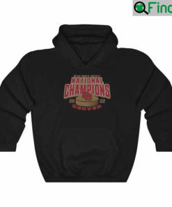 NCAA Mens Hockey National Champions Denver 2022 Hoodie