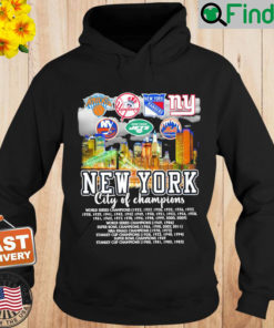 Official New York City Of Champions World Series Champions Hoodie