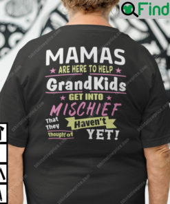 Papas Are Here to Help the Grandkids Get Into Mischief Shirt