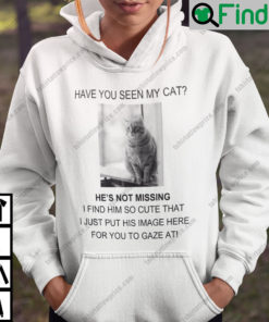 Personalized Have You Seen My Cat He Is Not Missing At All Hoodie