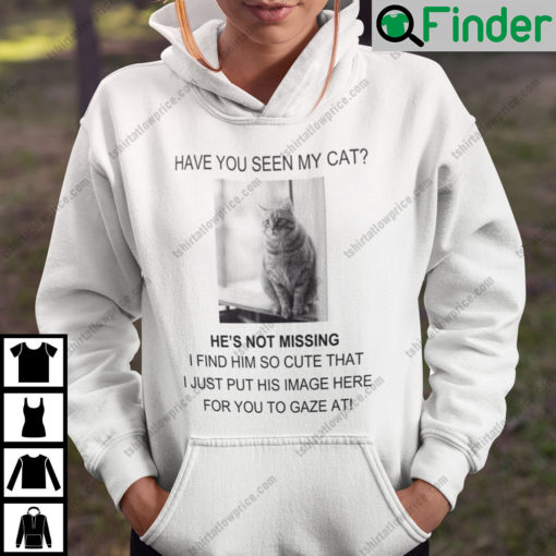 Personalized Have You Seen My Cat He Is Not Missing At All Hoodie