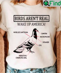 Birds Arent Real Rats Shirt