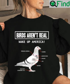 Birds Arent Real Shirt For Men Women