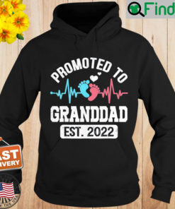 Promoted To Granddad EST 2022 Pregnancy Announcement Hoodie