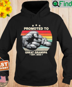 Promoted To Great Grandpa Est 2022 First Time Grandpa Hoodie