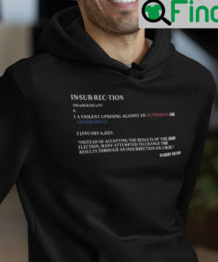 Insurrection Hoodie Insurrection Definition2