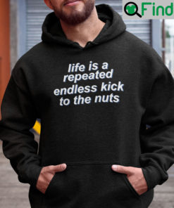 Life Is Repeated Endless Kick To The Nuts Hoodie