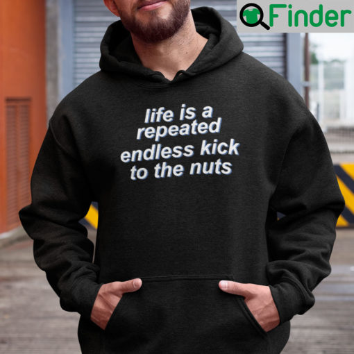 Life Is Repeated Endless Kick To The Nuts Hoodie