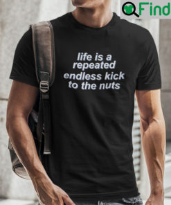 Life Is Repeated Endless Kick To The Nuts Shirt