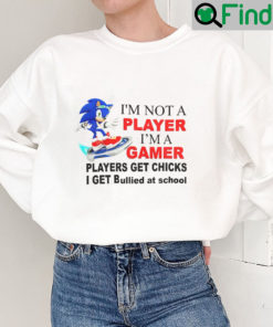 Sonic Im Not A Player Im A Gamer Players Get Chicks I Get Bullied At School Shirt