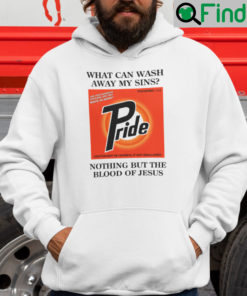 What Can Wash Away My Sins Nothing But The Blood Of Jesus Hoodie