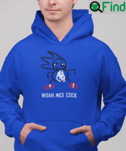 Woah Nice Cock Meme Shadow Hedgehog Hoodie