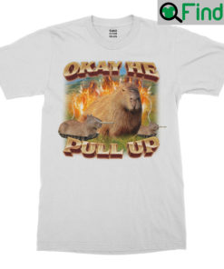 Okay He Pull Up Capybara Shirt