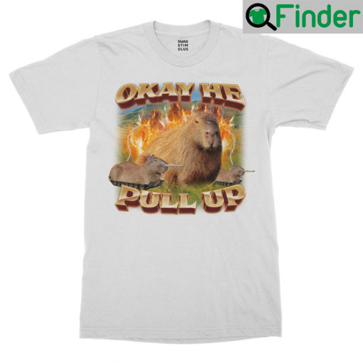 Okay He Pull Up Capybara Shirt