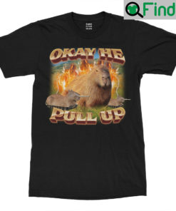 Okay He Pull Up Capybara T Shirt