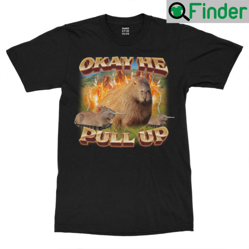 Okay He Pull Up Capybara T Shirt