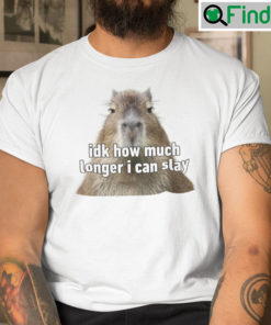 Idk How Much Longer I Can Slay Shirt Capybara Sarcastic Dank Meme