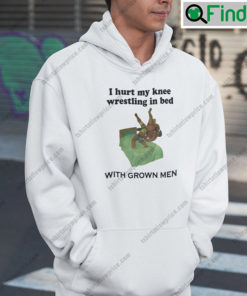 I Hurt My Knee Wrestling In Bed With Grown Men Hoodie Shirt