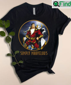 Simple Marvelous T Shirt For Fans