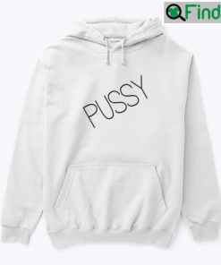 Aaron Paul Pussy Hoodie Shirt