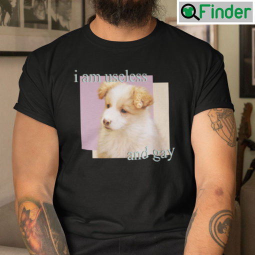 I Am Useless And Gay T Shirt