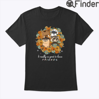 Lylla Rocket Floor Teefs It Really Is Good To Have Friends Shirt