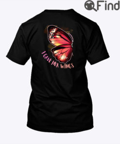 I Gave Her Wings Matching Shirt I Taught Him To Fly Couple Shirt